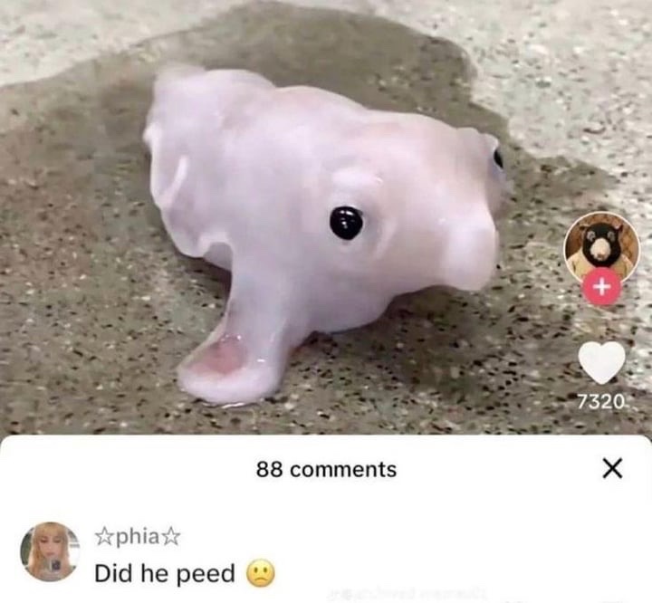 nocontextmemes's tweet photo. https://t.co/vyjXrINdss