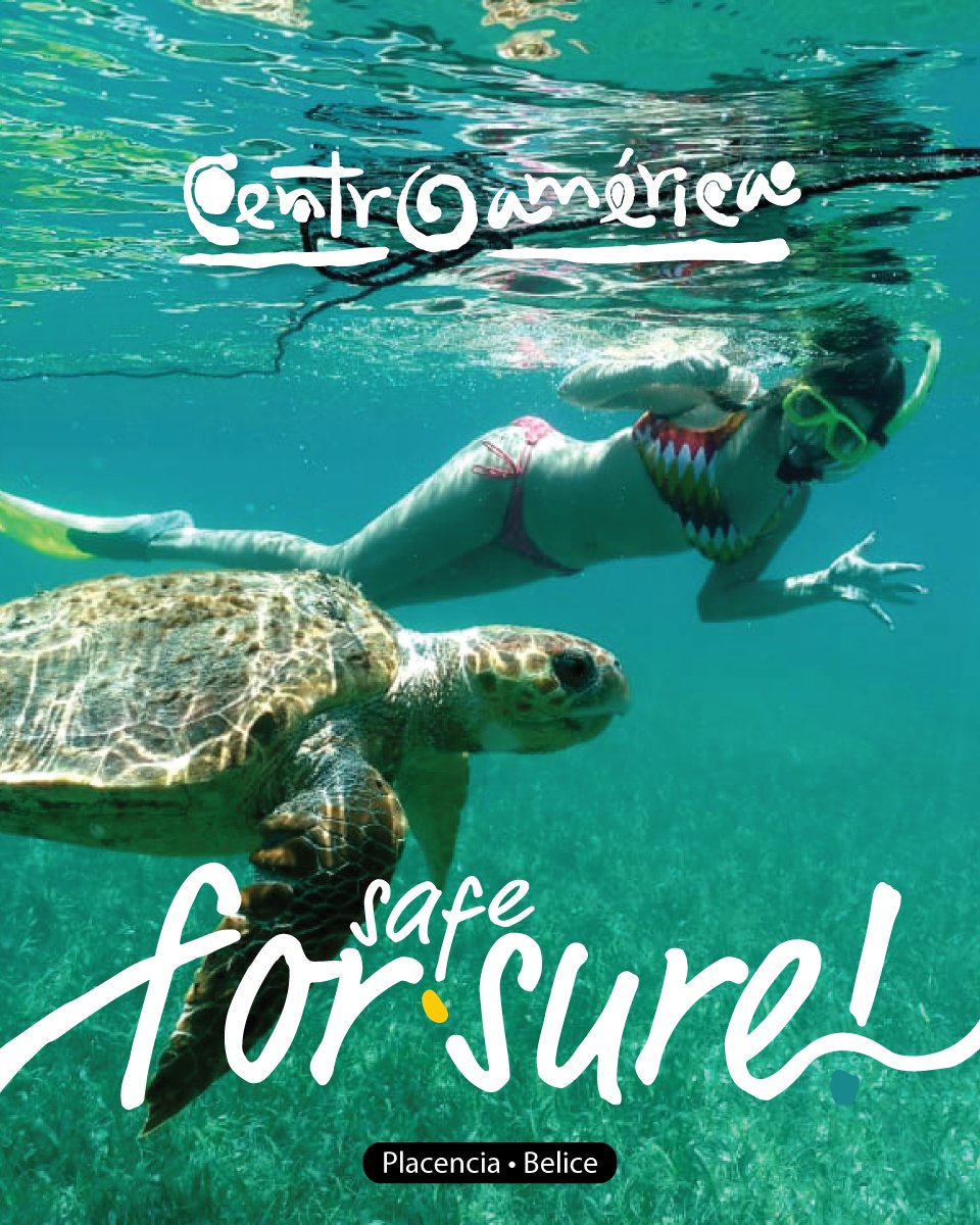 visitcentroamer's tweet photo. Nadar con tiburones, contemplar la belleza de los arrecifes de coral y déjate maravillar por las tortugas marinas en su hábitat natural 🌺🌊 

Todo esto lo encuentras en 📍#Belice un paraíso tropical 🇧🇿  #SafeForSure #Centroamérica https://t.co/ZpHOftUkQX