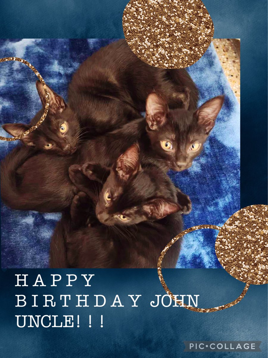 johnuinely's tweet photo. Thankyou for being an incredible voice for animals…
@TheJohnAbraham !!

Lots of love n wishes from all furry friends at Operation Kindness…Happy Birthday Uncle John!

#HappyBirthdayJohnAbraham https://t.co/ByFYAL3uqX