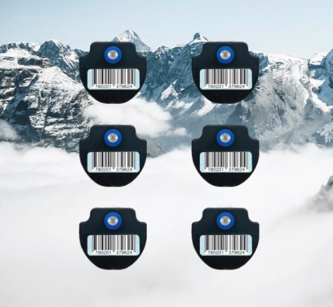 mesh_apps's tweet image. Kids group tracking with #meshapp @mesh_apps this is the easiest way of keeping a group of children safe anywhere in the world. #amusementpark #waterpark #kidsincidents #missingkids #Kidnapping