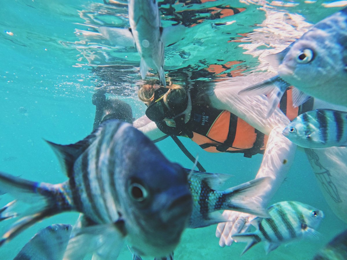 Adelaide Welden tweet media