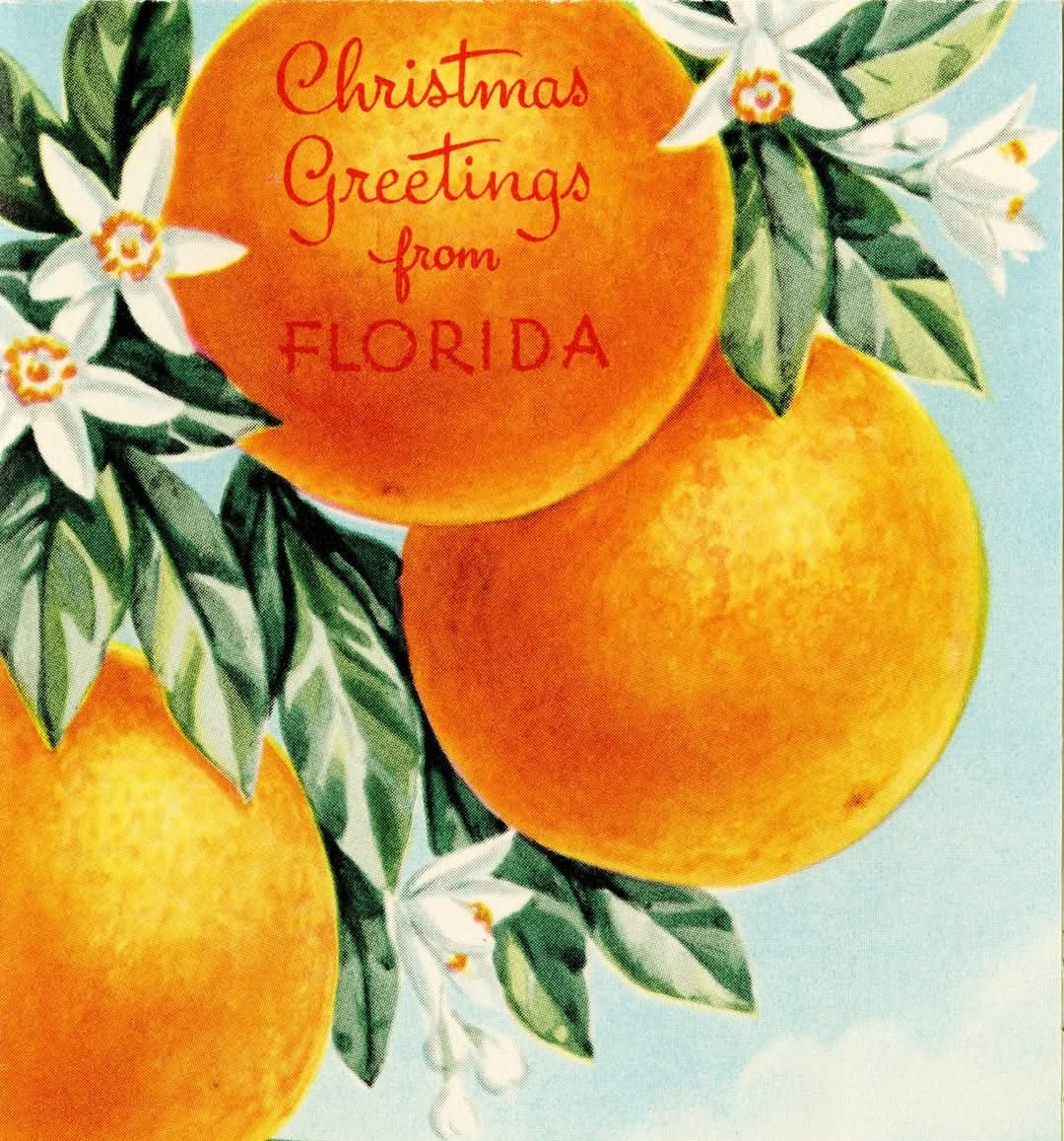 Museum of FL History tweet media