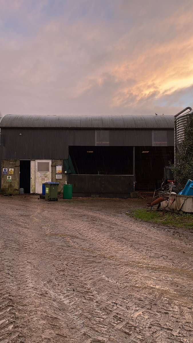 Jerry Moloney tweet media