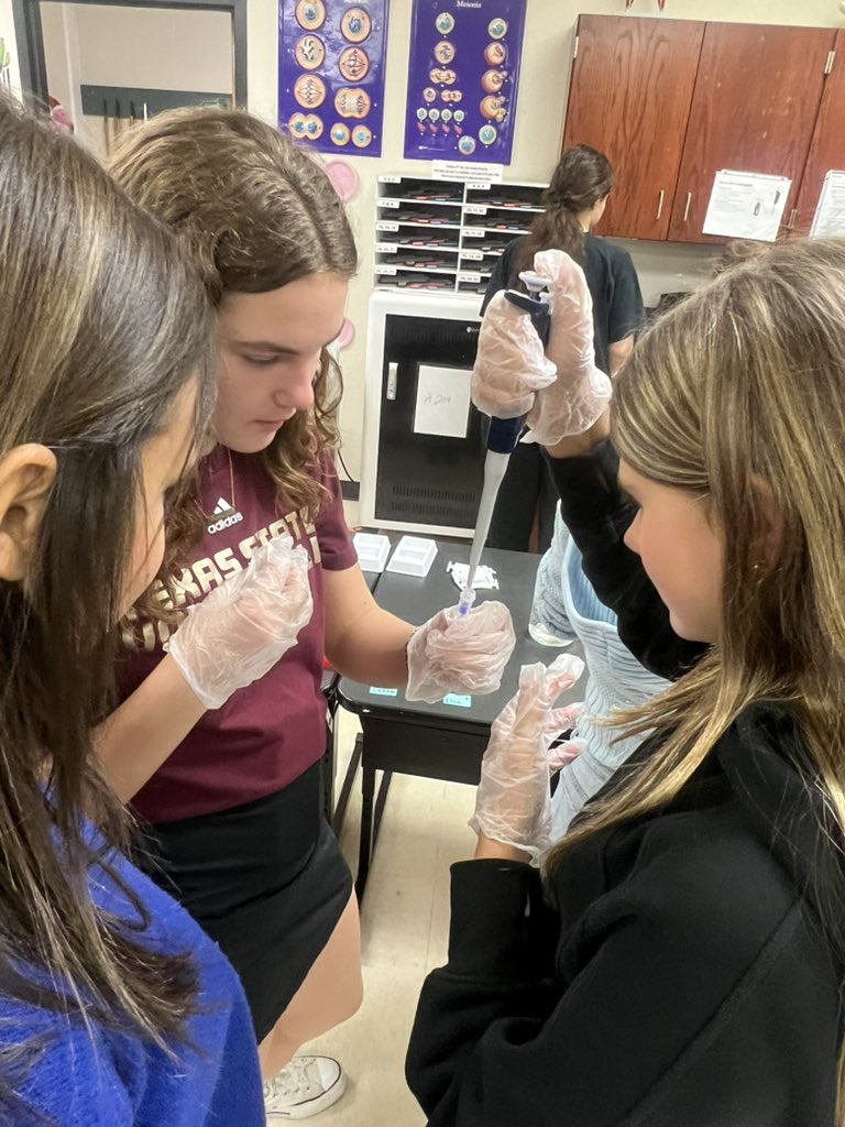 Kristen Adams tweet media