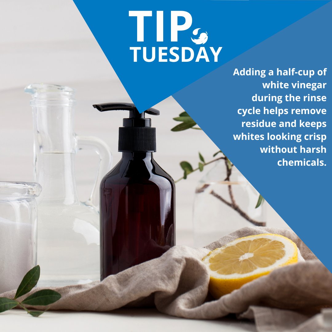 MartinizingRO's tweet image. Vinegar isn’t just for cooking—whiten your whites the eco way! 🥼🍋

martinizing.com/royal-oak #TipTuesday #GreenEarthCleaning #WhitenGarments