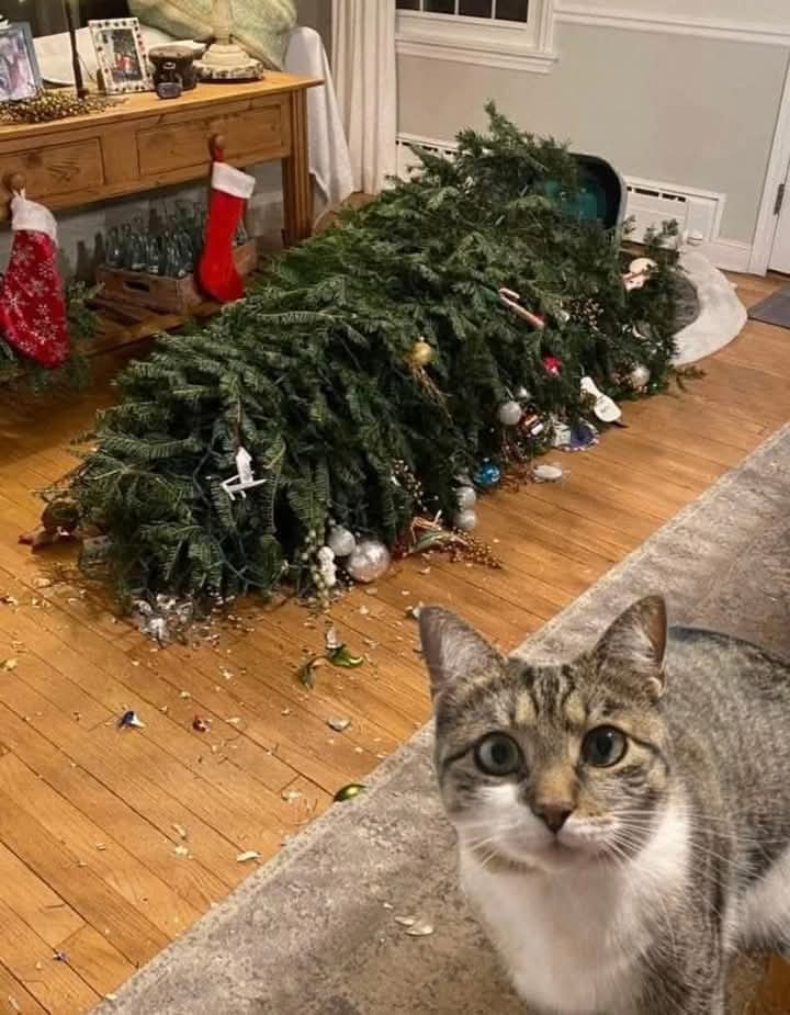 Pişman değilim inancıma ters.
Yerim seni)))