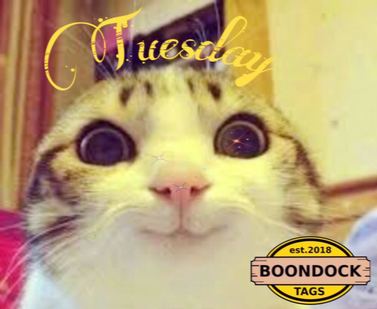 BoondockTags's tweet image. That look when you know it’s Tuesday with @BoondockTags and @WildFlower_0121.  Join us tonight at 8:00pm EST. 

For a complete list of other great games check out the amazing @CalendarGirlBot for dates and times.