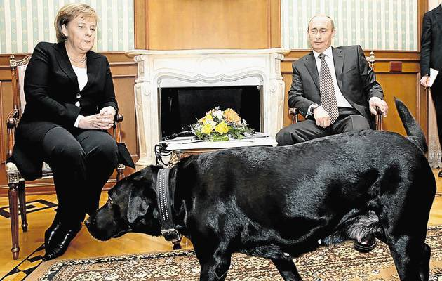 IA_Noelia_'s tweet photo. Vladímir Putin en situaciones únicas

- Hilo 🧵

1. La alemana Angela Merkel observa inquieta cómo se acerca el perro del presidente ruso Vladímir Putin en 2007 https://t.co/r2Pro9fwkU