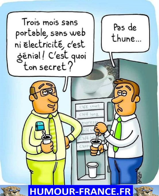text alternatif