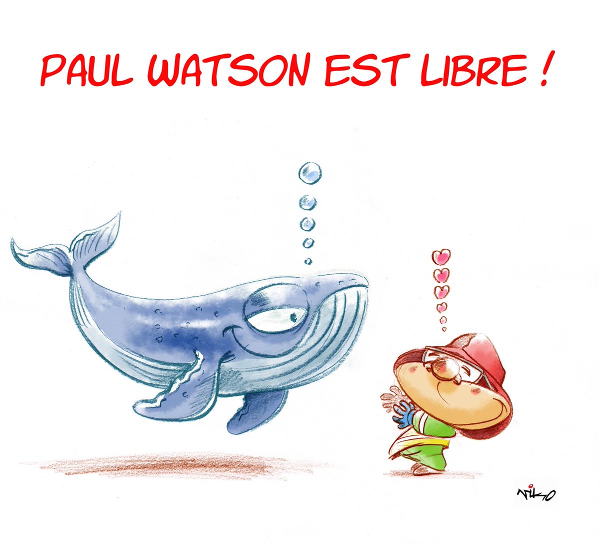 Niko Le Tutour (@ntutour) on Twitter photo 