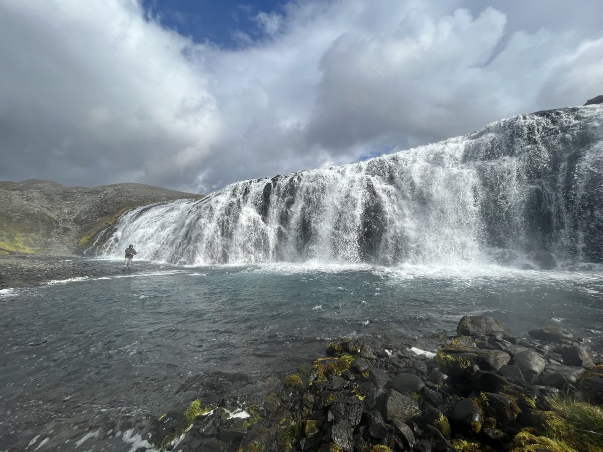 Backmandy tweet media