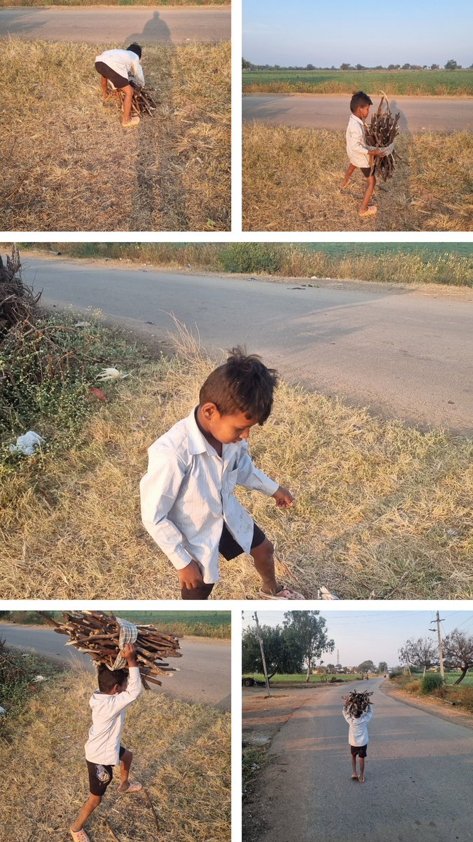 Spotted this kid, helping his mother with firewood in our village !