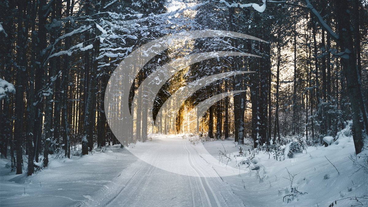 📬In the December edition of The Advance

Readings on food prices and uncertainty, Canada’s new Arctic Foreign Policy, AI and superbugs, AI and productivity, and the decades-long effort to improve rural broadband internet accessibility in Alberta. cca-reports.ca/the-advance-de…