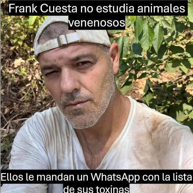 Domii tweet media