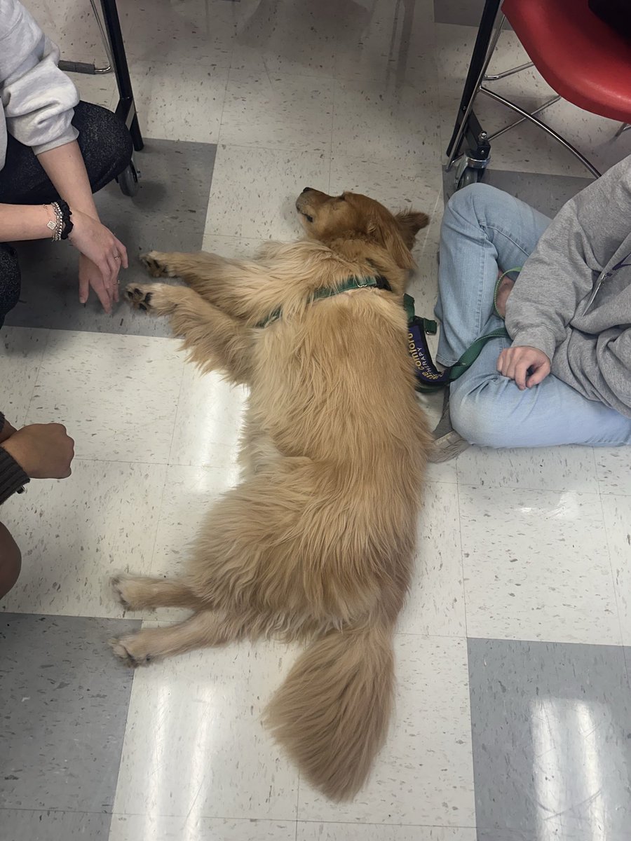 Friday’s visit by our Creature Comfort friends, Buddy and Maggie, was pawsitively wonderful!