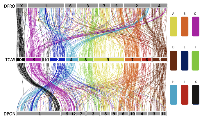 Claudio Casola tweet media