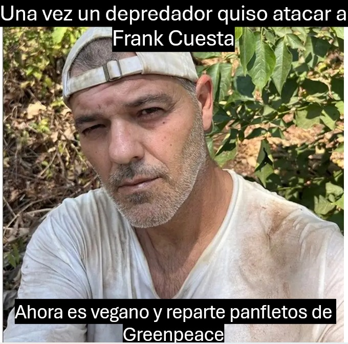Domii tweet media
