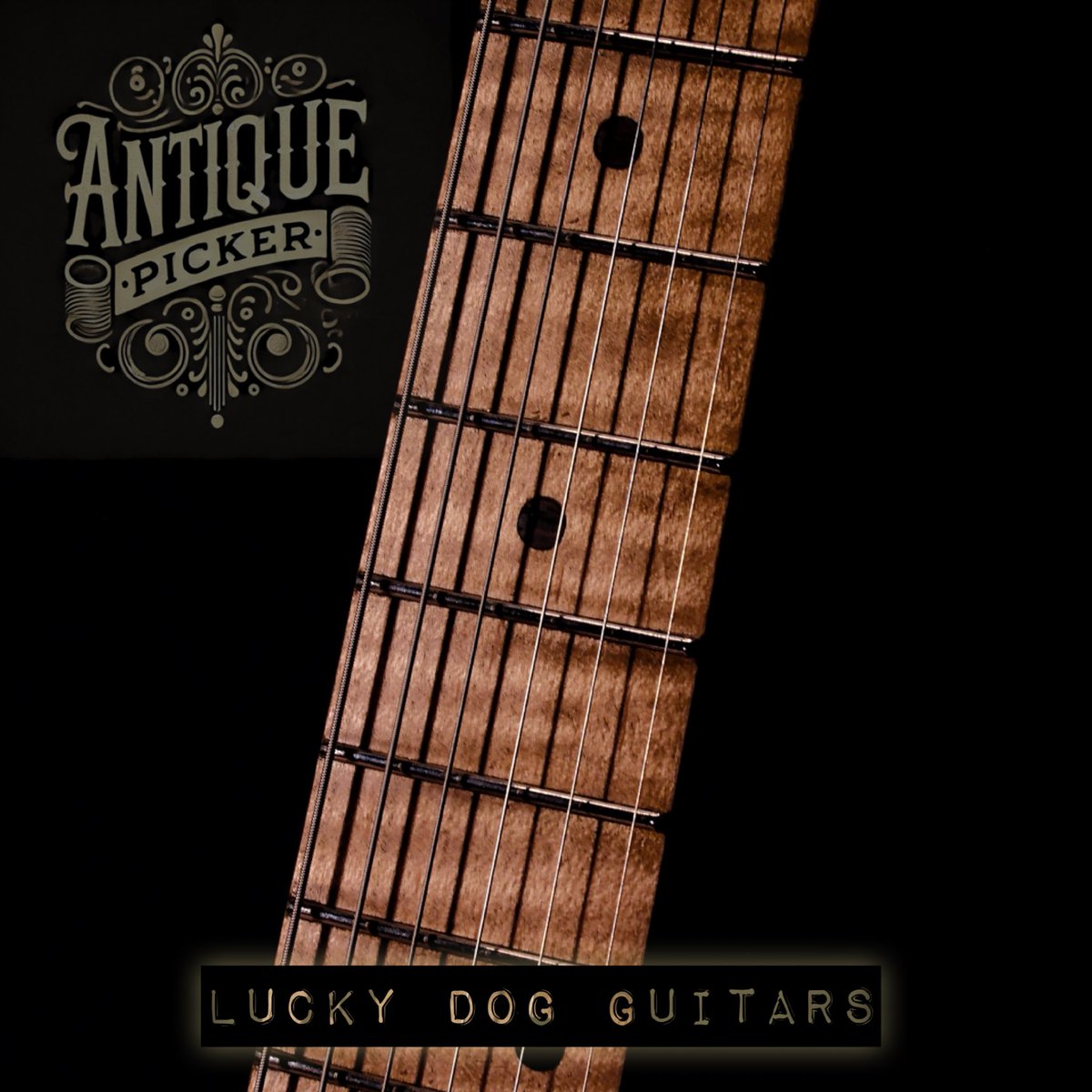 Up for grabs!   $3500.  Lucky Dog Evangelist. Handmade here in Tennessee.  #luckydogguitars #customguitar #Bitcoin #guitarist