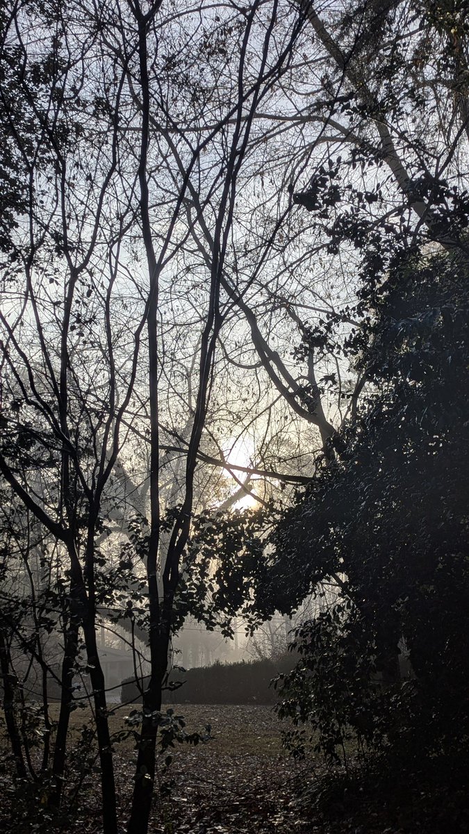 ryan_karr's tweet photo. @spann beautiful fog this morning in bluff park. https://t.co/Yq1ApCH9nq