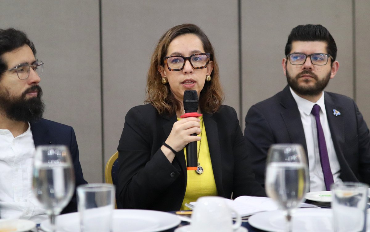 MinjusticiaCo's tweet photo. #AEstaHora | La directora de Justicia Transicional, Diana Carolina Flórez, participa en la reunión para coordinar, junto con entidades y organizaciones, la implementación de la #AlertaRosa, una ruta diseñada para prevenir y activar, de manera oportuna y efectiva, la búsqueda de niñas, niños, adolescentes y mujeres en sus diversidades, víctimas de desaparición en contextos del conflicto armado y otras circunstancias.