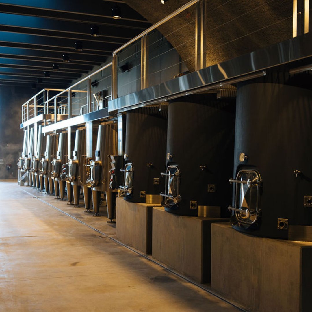 A new chapter begins! We're thrilled to christen our new barrels with the first harvest in our Tank Room. Here’s to many more vintages to come. 🥂🍇 #TankRoom #HarvestSeason #SignorelloEstate