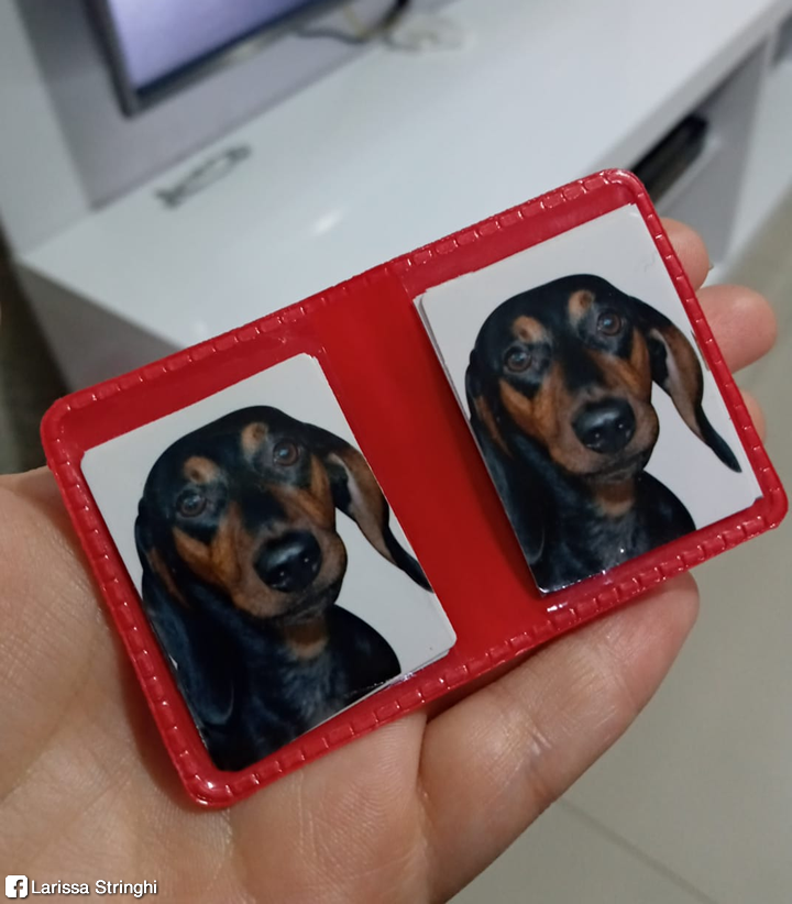 Ninguém sai bem em foto 3x4 EXCETO o Luigi