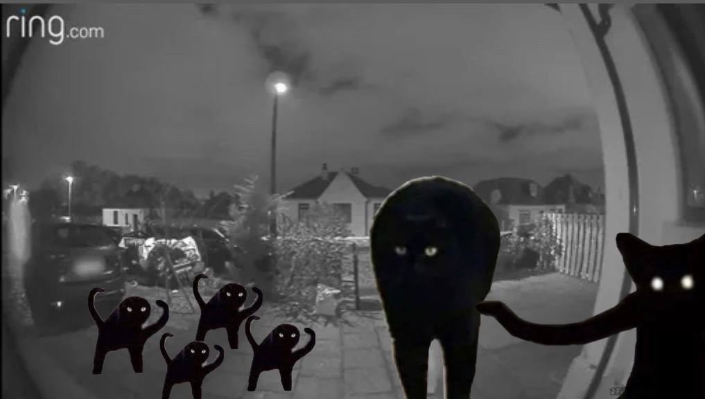 Ding dong 

Is this thing on? 

5N955SkyYanYkt1krEfhSyQ5fFh2g9DVsr4ekWibZ9SG
