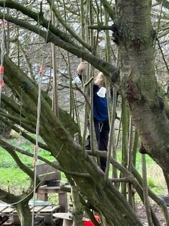 NectonFS's tweet image. The last session for @NectonY2 group 2, adventures in climbing and swinging, followed by yummy sweetness by the fire. It's hard when something comes to an end but we gave thanks to the forest for our time spent there and new adventures we may have.