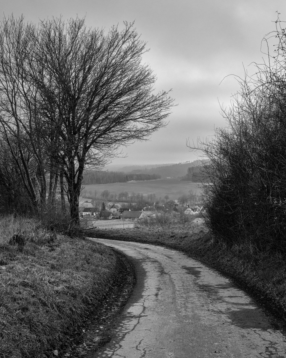 dan23freedom's tweet photo. Dusk's Desolate Drive
·
📷 1/20 sec at f/8,0, ISO 400, 40 mm prime #dan23freedom
#Monochrome #BlackAndWhite #Rural #Urban #Nature #Trees #Winter #Germany #NordrheinWestfalen
#iLoveTrees #WinterWalk #QuietPath #VillageView #Nature #SereneLandscape #WinterDusk https://t.co/gpDrCWatoN