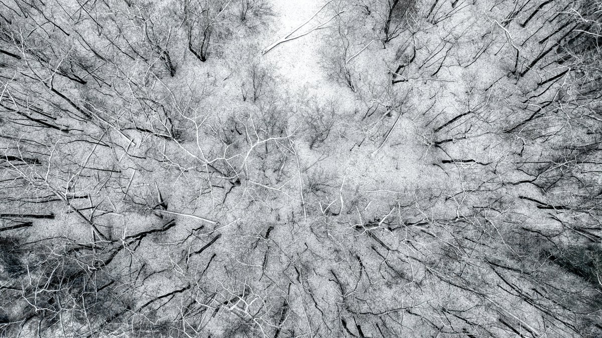WesternMADrones's tweet photo. High flying art. βοΈ
#topdowntuesday #dronephotography #wintervibes
#westernmass #westernmassdrones https://t.co/qSWr92sbfe