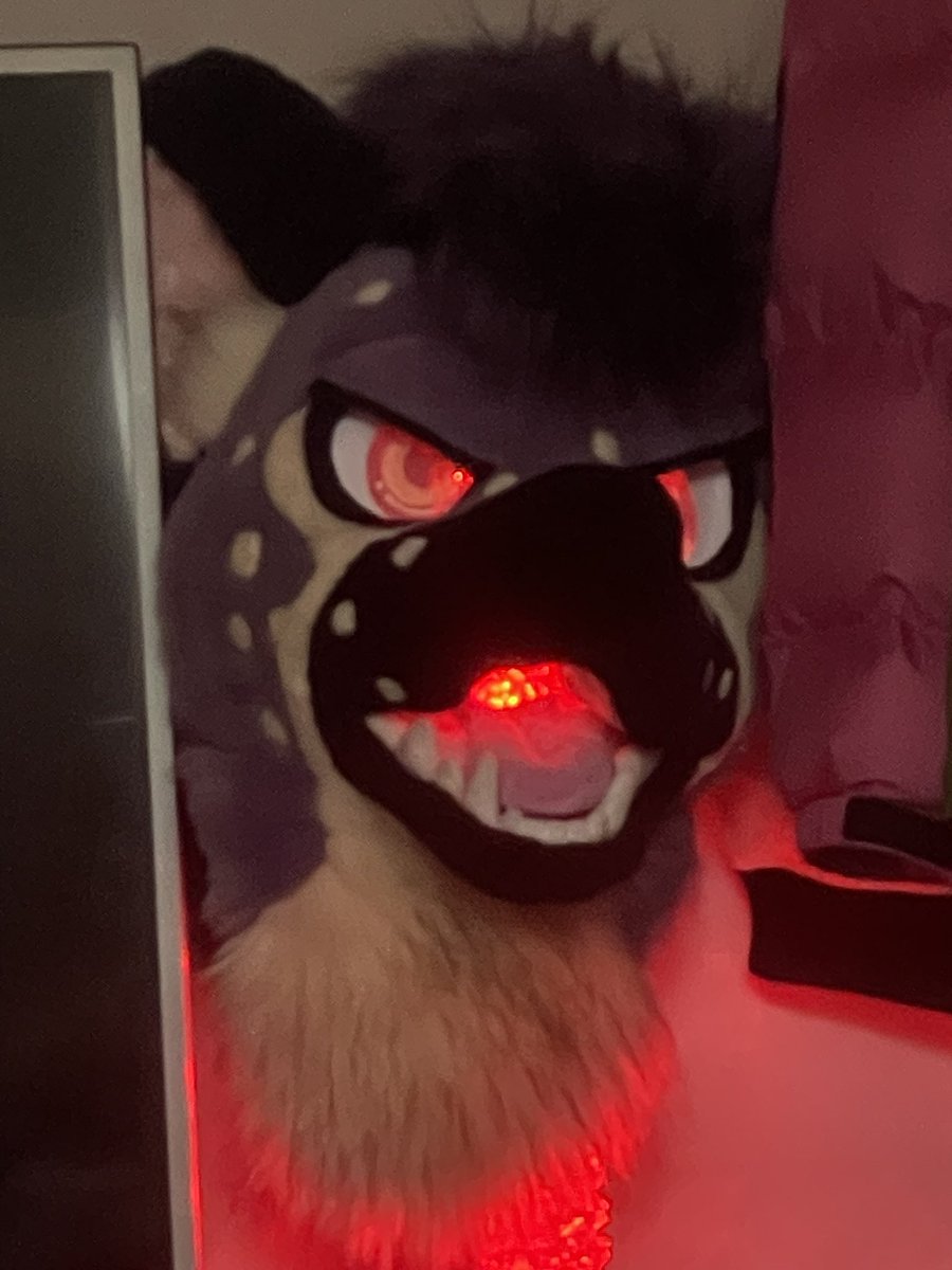 yeenstudio's tweet photo. Pokémon Yeen

#furry #Pokemon #fursuit https://t.co/3ZtbqbkxWl