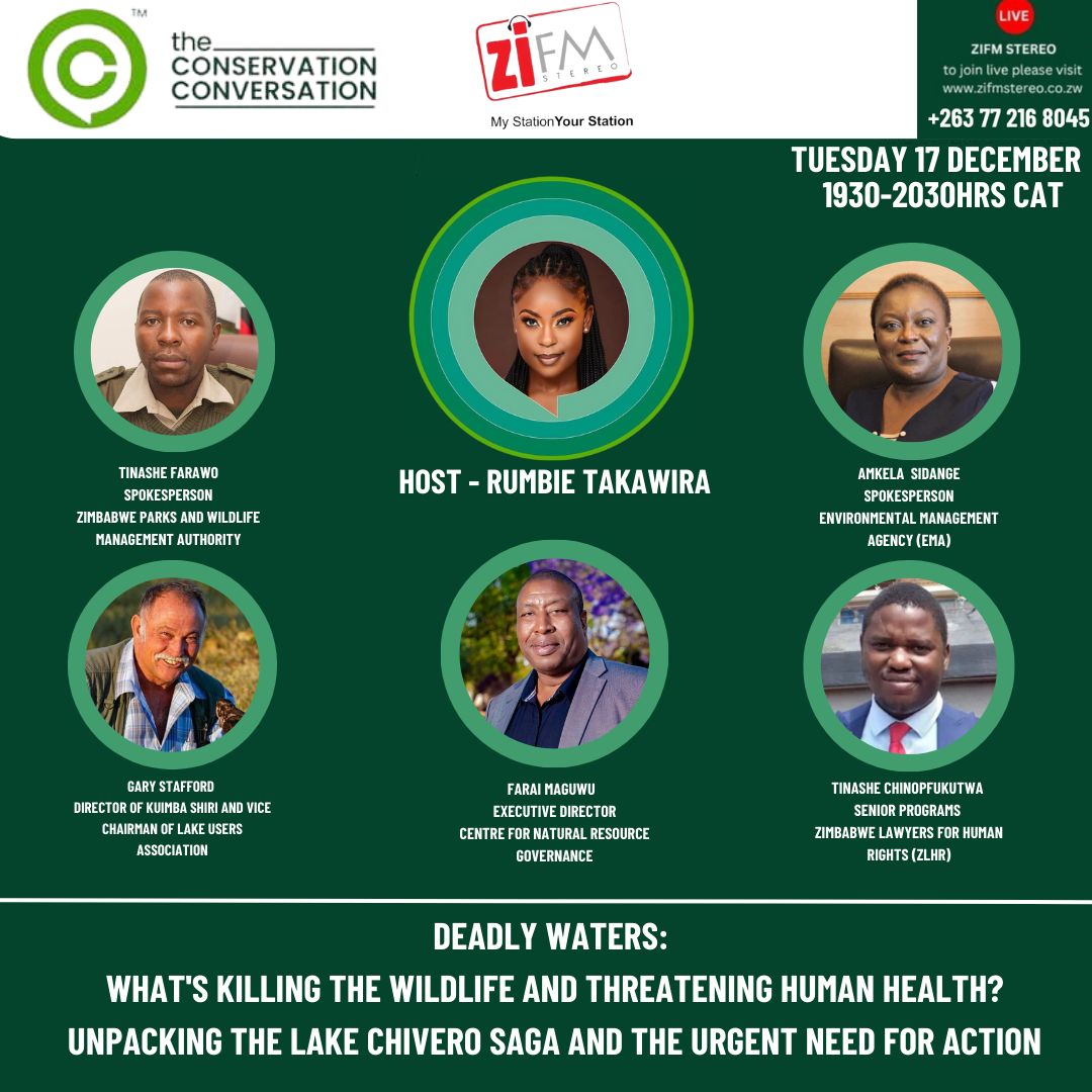 Deadly Waters: What is killing the wildlife and threatening human health?

Rumbi Takawira (<a href="/Newsbae/">Rumbie Takawira</a>), tonight from 1930 hrs (CAT), hosts a strong lineup of experts to unpack the Lake Chivero saga who are expected to craft an urgent plan of action to this hazard.