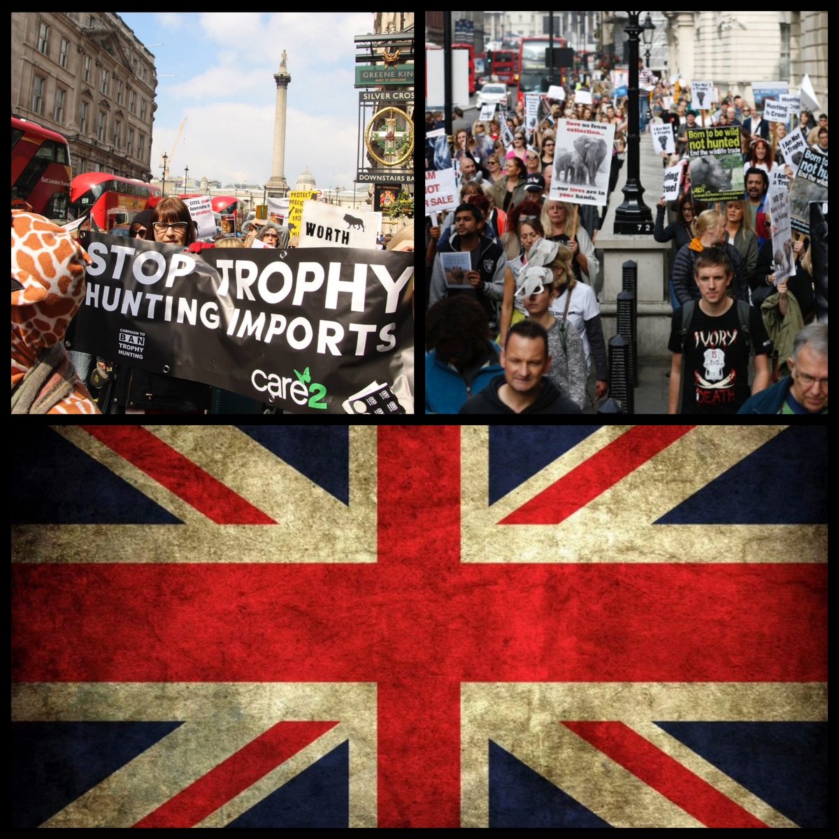 WILDLIFE ANIMAL PROTECTION FORUM SOUTH AFRICA tweet media