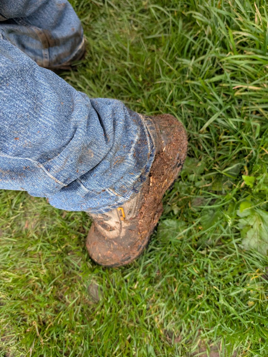MasterDadFindom's tweet photo. Which sub is paying to clean my horseshit covered boots?

#finsub #findom #feet #cashmaster #cashpig #drain #daddydom #twink #cashpigs https://t.co/2NX3JaO273