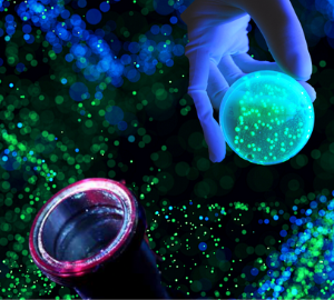 BiopharmaTechFr's tweet image. Bactiscan™ Plus d&apos;EIT International, distribué par BiopharmaTechnologies France, permet une détection rapide et précise des biofilms dans les secteurs pharmaceutique et médical. 
Idéal pour garantir la qualité des produits et prévenir les contaminations.