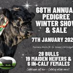 Photo by Gwartheg Duon Cymreig | Welsh Black Cattle (@Welsh_Blacks)