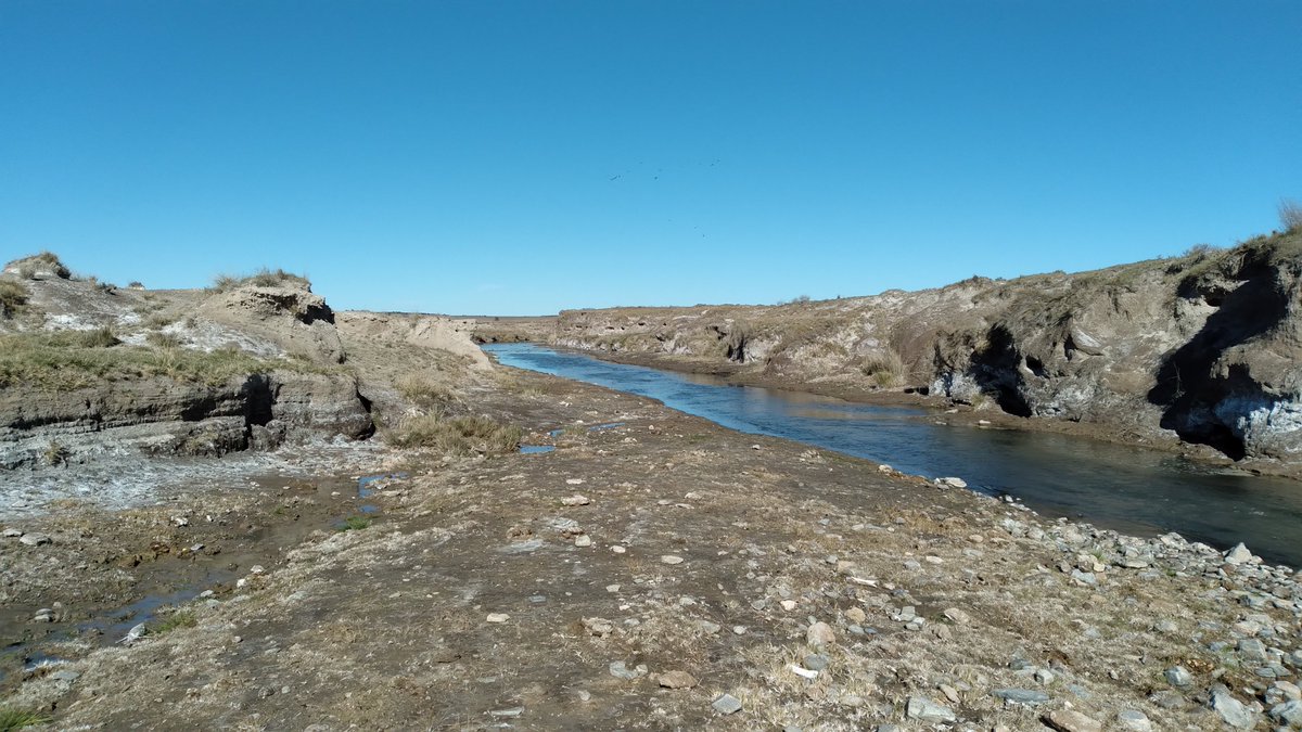 Daniel Bastán tweet media