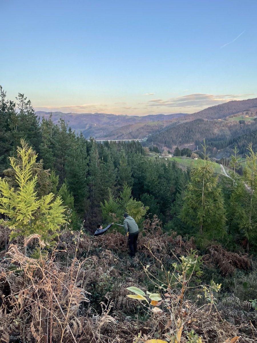 geforestesp's tweet photo. Acabando el año de la mejor manera posible en Guipuzkoa.
#inventarioforestal
#cubicacion
#gestionforestal https://t.co/tTQ9vxdd10