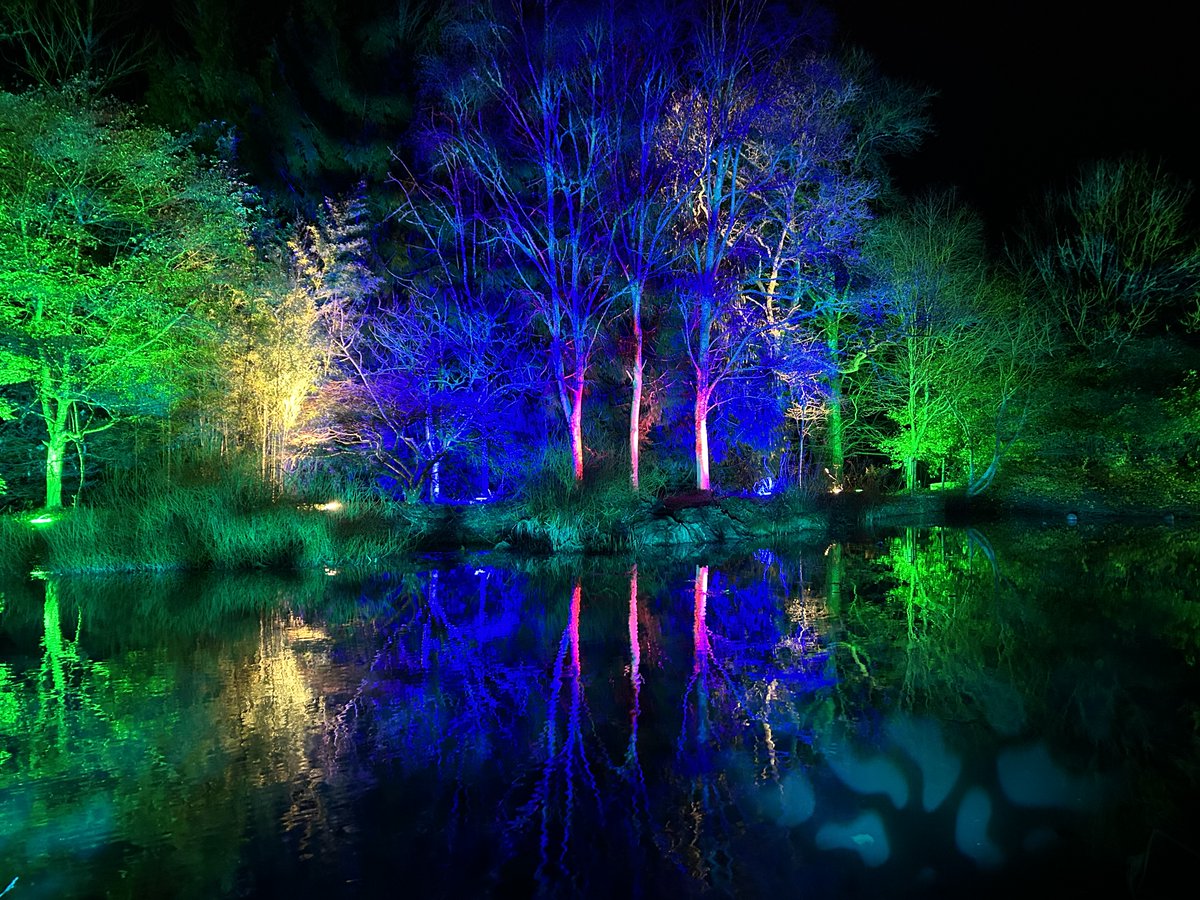 RHS_Rosemoor's tweet image. ✴️We've only got 8 Glows to go from tonight till 28 Dec with 2 nights sold out &amp;amp; tickets selling fast... Book today if you don't want to miss out on this atmospheric light and sound experience 
👉 Book here now rhs.org.uk/gardens/rosemo…
#VisitDevon #VisitExeter #NorthDevon