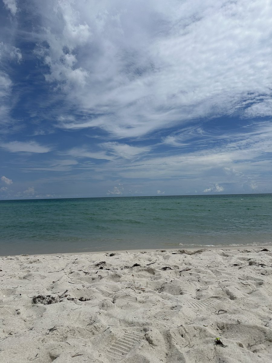 legen 🚀🌕 tweet media