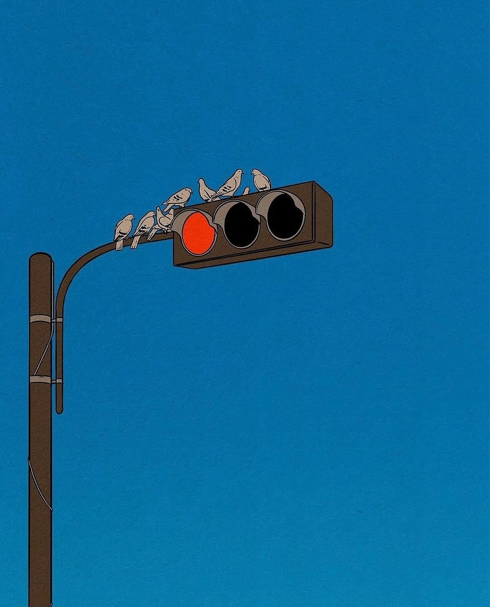siidrasm's tweet photo. Sometimes, you have to leave the comfort of red lights to find your green. https://t.co/6GTqsfUYyF