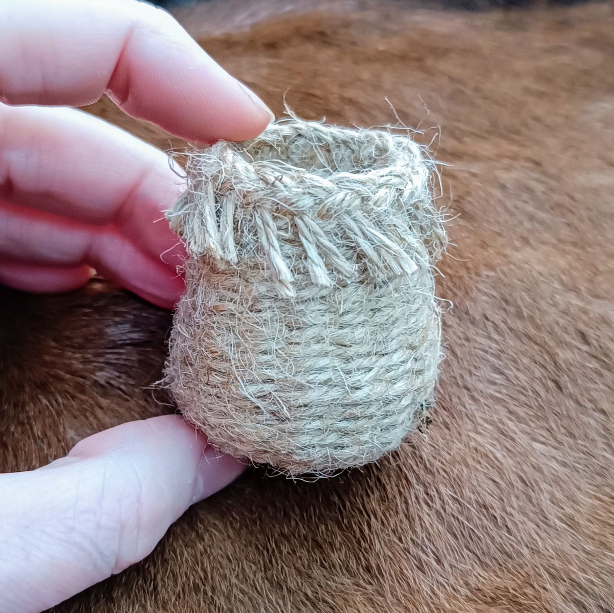 Sally Pointer tweet media