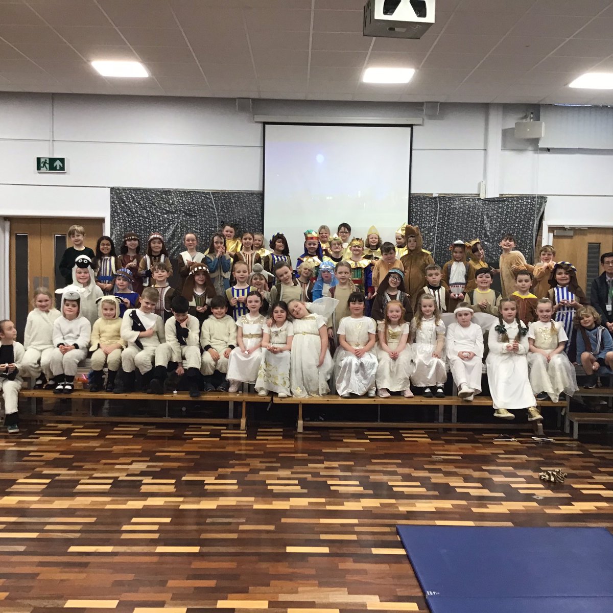 spstyear2 tweet media