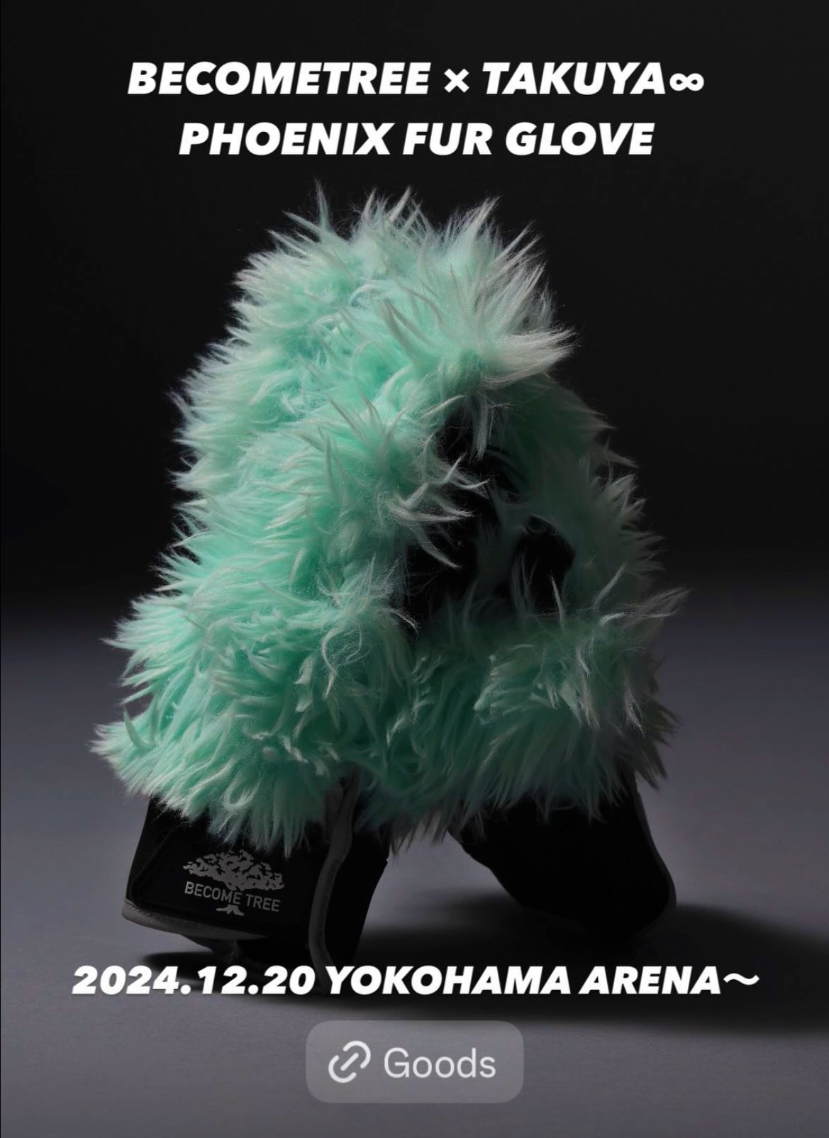 become tree TAKUYA∞ phoenix グローブ 商品詳細ページ | UVERworld OFFICIAL EC SHOP | BECOMETREE