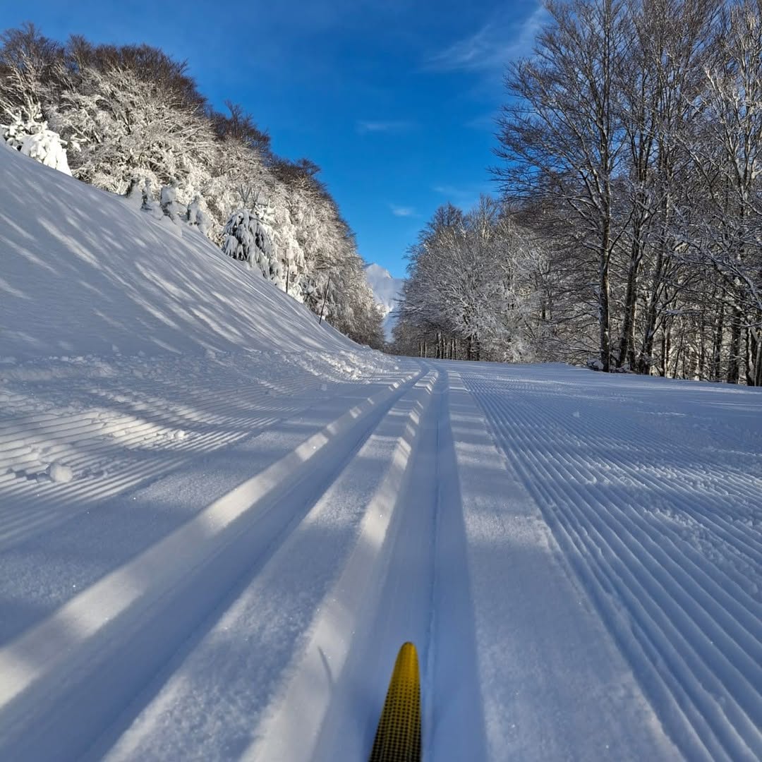 Elurra iritsi da Iratira! Negu honetan Iratiko oihana bisitatuko du eta bertako eski pistetan paseatu, erraketekin ibilaldiak egin, inguruko herrietan ibili...

#irati