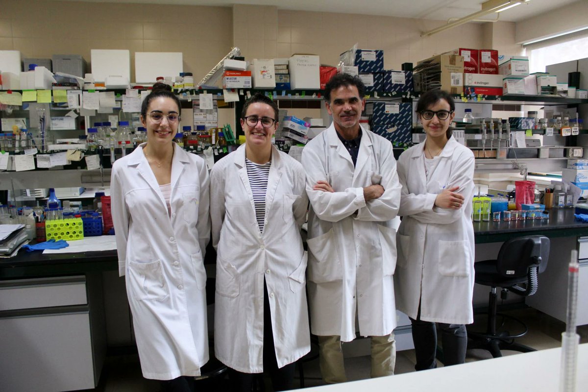 RadioUSAL's tweet photo. Nueva vía terapéutica contra leucemia mieloide aguda. Desde la @usal y desde el @IBSAL_IIS . Entrevista a Ángel Hernández.
https://t.co/Za1cOEoZpI https://t.co/qpnCEiJgTi