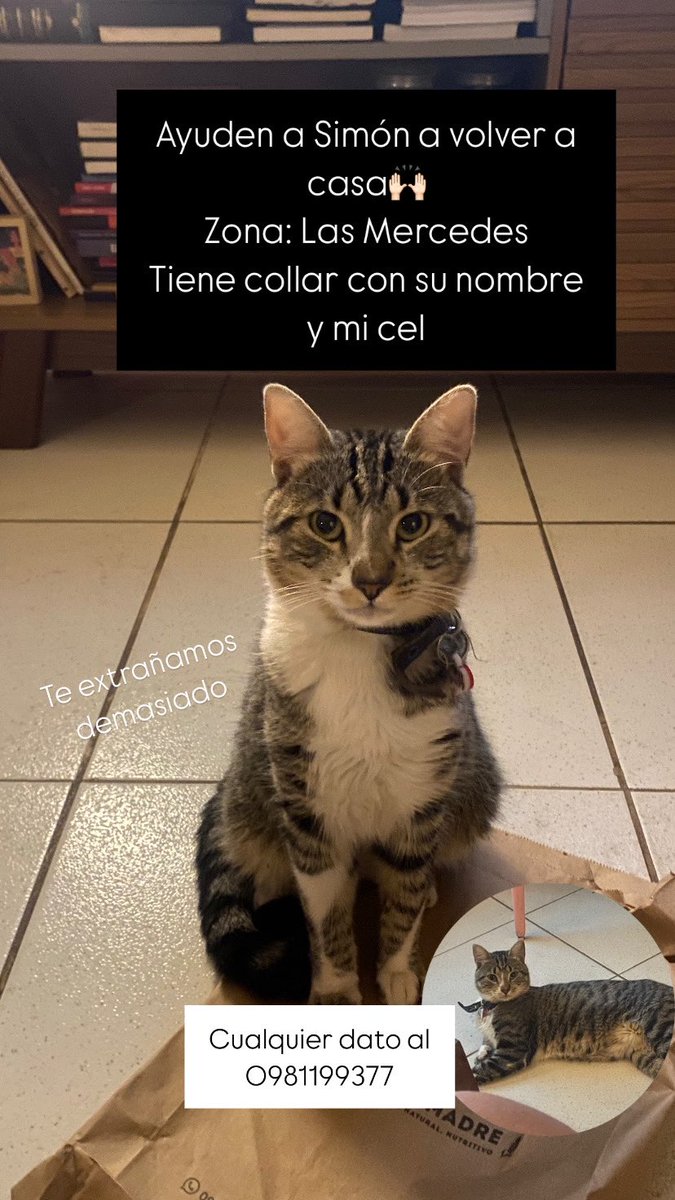 regirivas's tweet image. Volvo rápido Simoncito😭😭😭
RT 🙏🏻