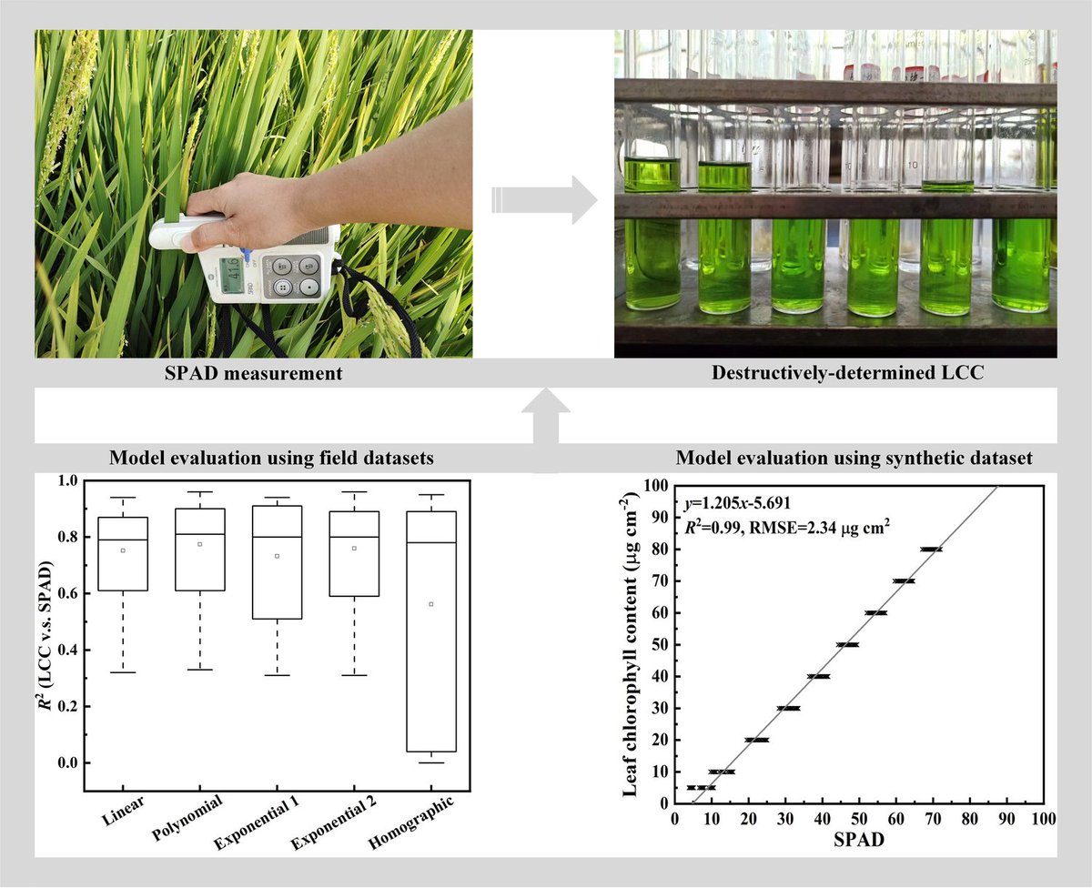 RemoteSens_MDPI's tweet image. 🌿🌿 Evaluation of the Methods for Estimating #Leaf #Chlorophyll Content with #SPAD Chlorophyll Meters

✍️ Runfei Zhang et al.
🔗 brnw.ch/21wPt2G