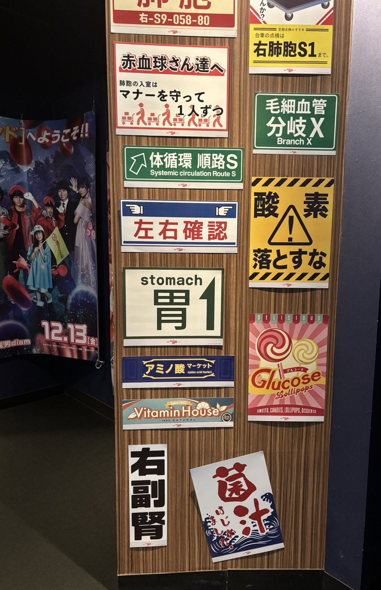 mirei12151215's tweet image. るろ剣のBeginningでもやっ！四月になれば彼女はでやばい💦で三度目の正直で眼鏡👓デビュー！また観に行きます
#映画はたらく細胞🔴⚪️
#佐藤健さん✨本当にかっこよすぎて泣いた。 Fukaseさんと健さん凄かった✨