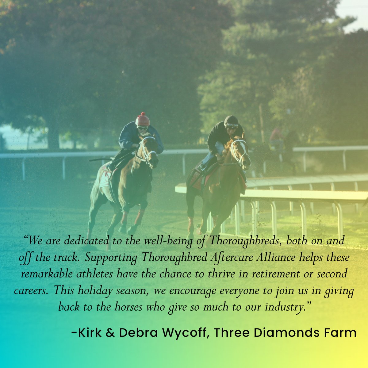 Thoroughbred Aftercare Alliance (@tbaftercare) on Twitter photo Double your impact this holiday season! On December 17, every dollar you give will be matched by Three Diamonds Farm up to $2,500. Give the gift of a safe landing to retired Thoroughbreds!
To donate, text HOLIDAY to 56651 or visit our website.
<a href="/jordanwycoff/">Jordan Wycoff</a> Double your impact this holiday season! On December 17, every dollar you give will be matched by Three Diamonds Farm up to $2,500. Give the gift of a safe landing to retired Thoroughbreds!
To donate, text HOLIDAY to 56651 or visit our website.
<a href="/jordanwycoff/">Jordan Wycoff</a>